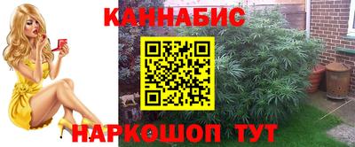 мдпв Дубна