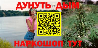 мдпв Дубна