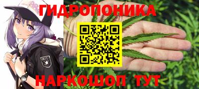 крисы Донецк