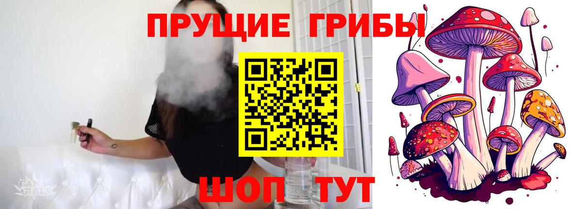 Галлюциногенные грибы Psilocybine cubensis Кунгур